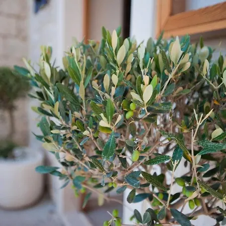 Apartment Rotondo